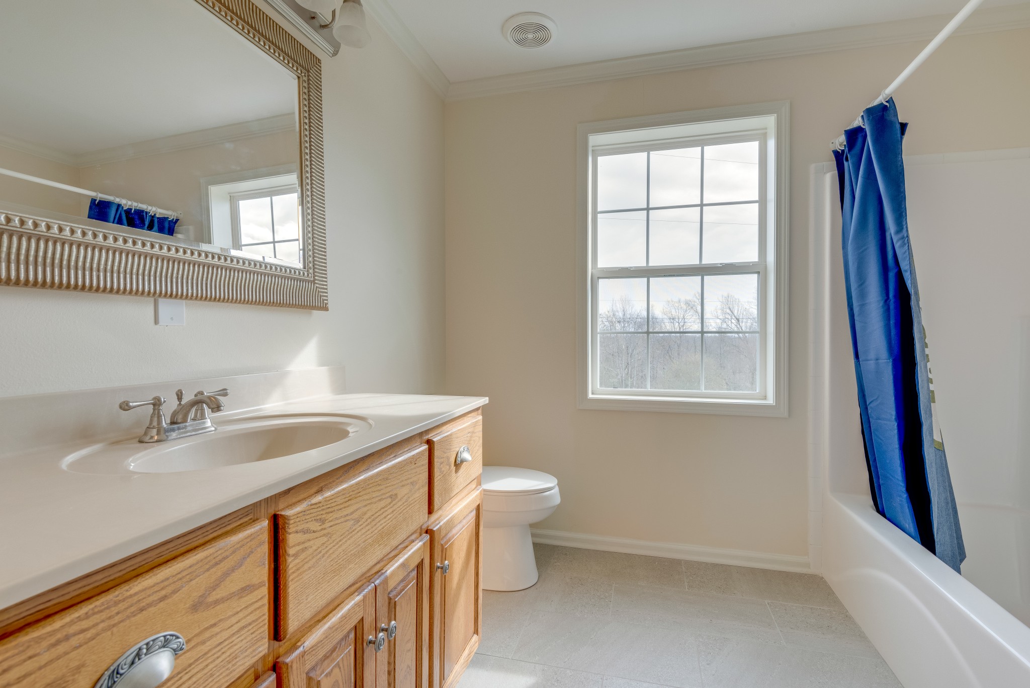 7349 Coldwater Road Fairview, TN 37062 - Photo 16 of 24 a bathroom with a sink a toilet and a window