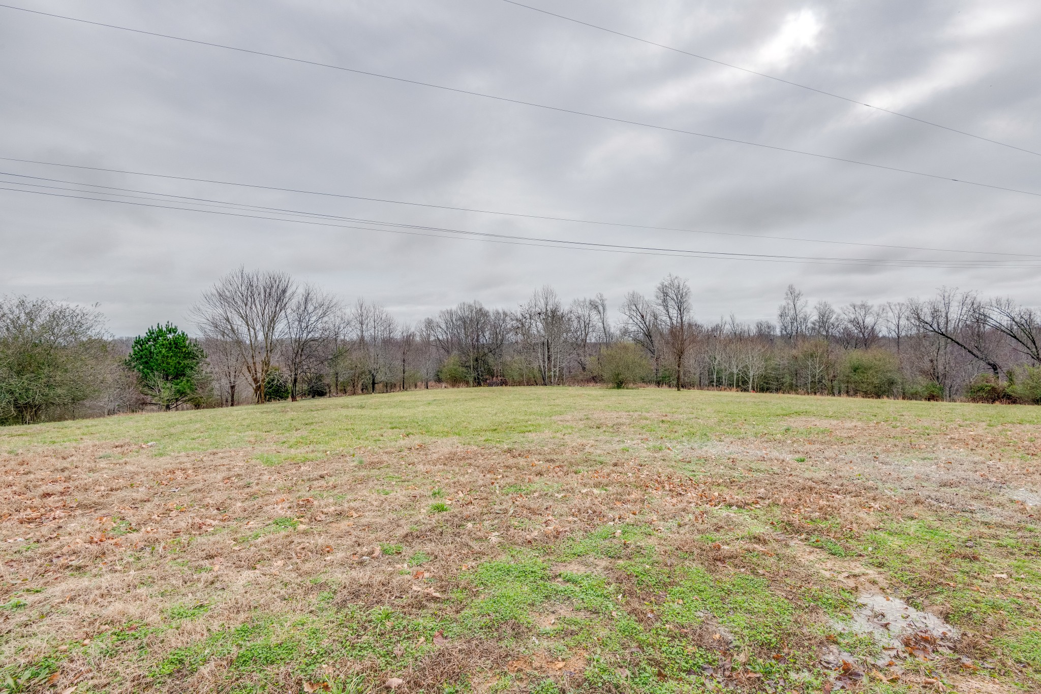 7349 Coldwater Road Fairview, TN 37062 - Photo 24 of 24 a view of a field with trees in background