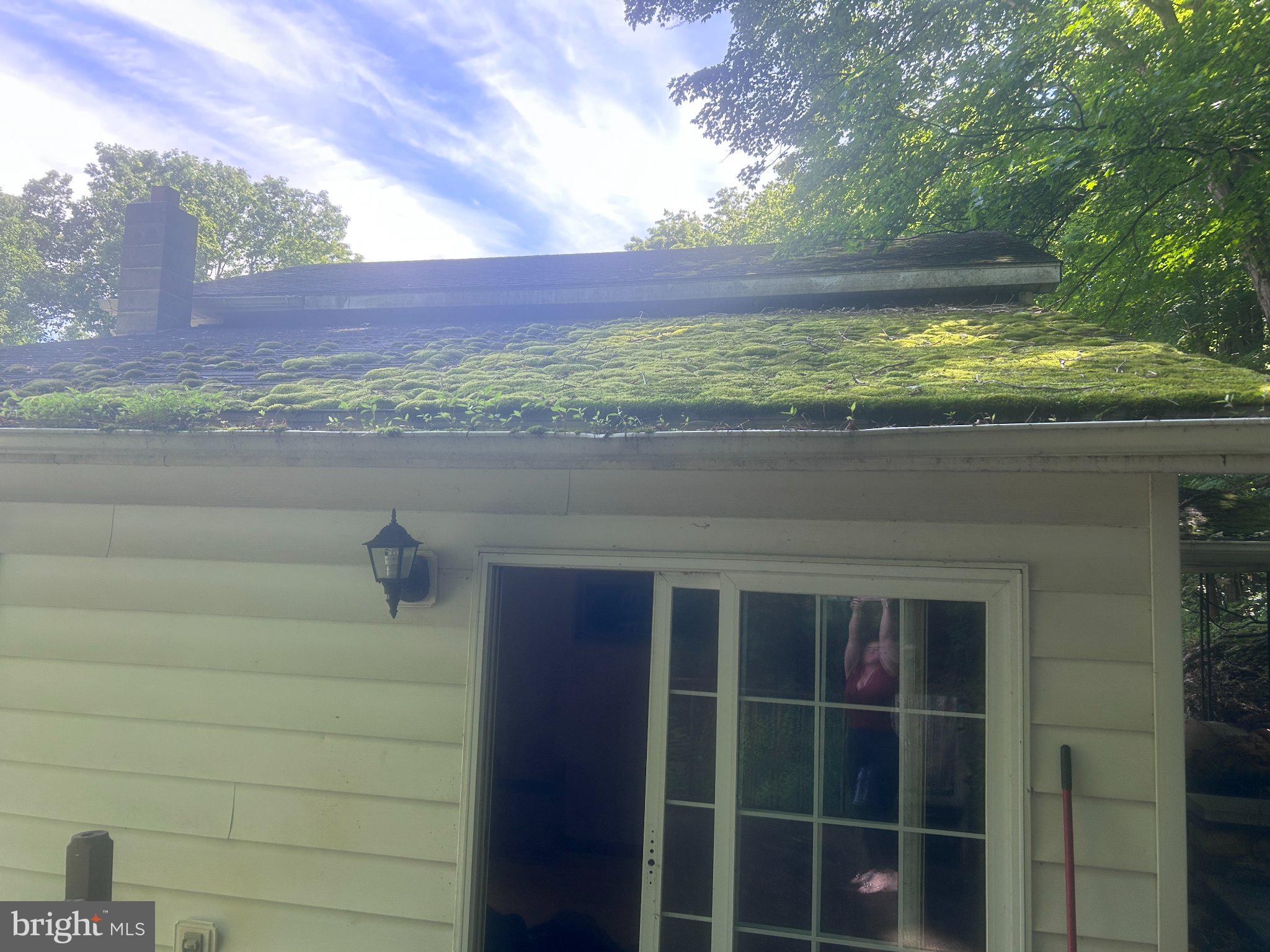17738 Amberson Road Spring Run, PA 17262 - Photo 23 of 23 Moss-covered roof in serene setting.