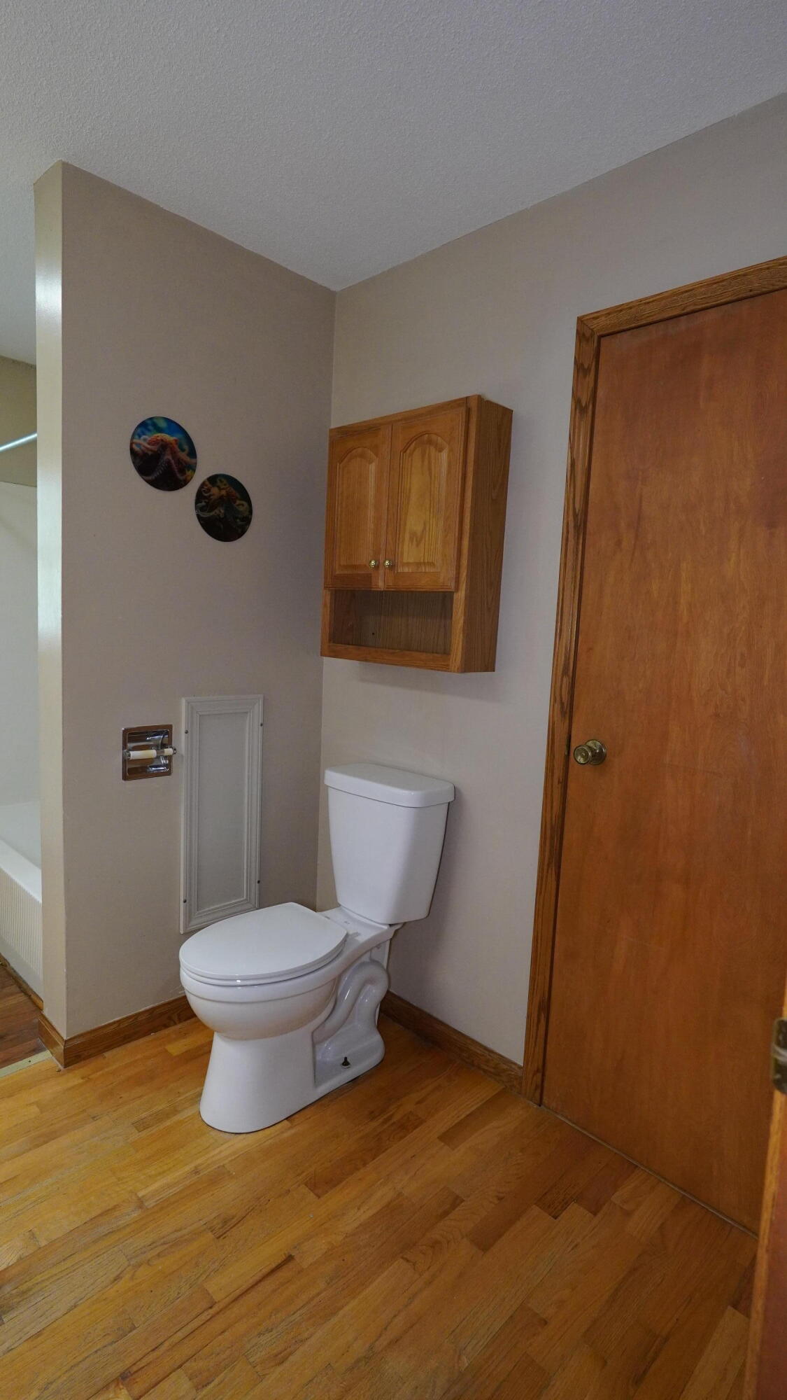 5251 Hudson Road Osseo, MI 49266 - Photo 29 of 51 5251 Hudson (21)