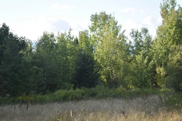 $99,000 | 0 Rt 58, Lowell, VT 05847