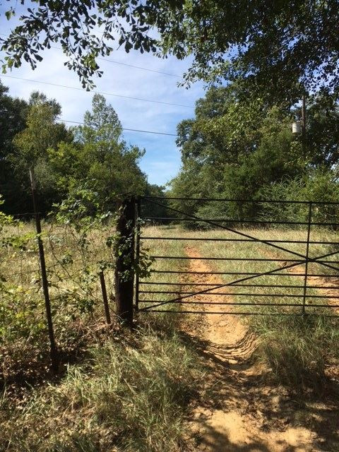 5851 Springridge Road Raymond, MS 39154 - Photo 1 of 1 Photo 1
