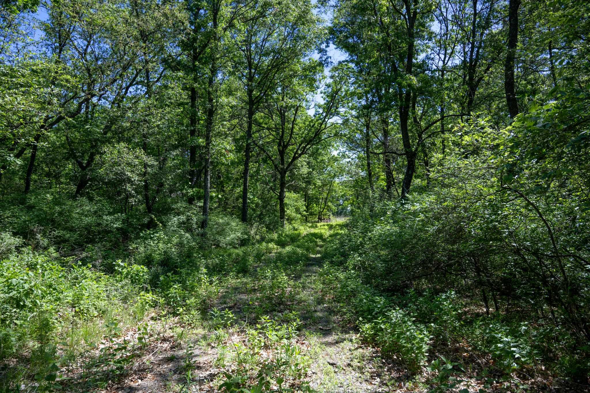 N14672 Porter Road Nekoosa, WI 54457 - Photo 37 of 51