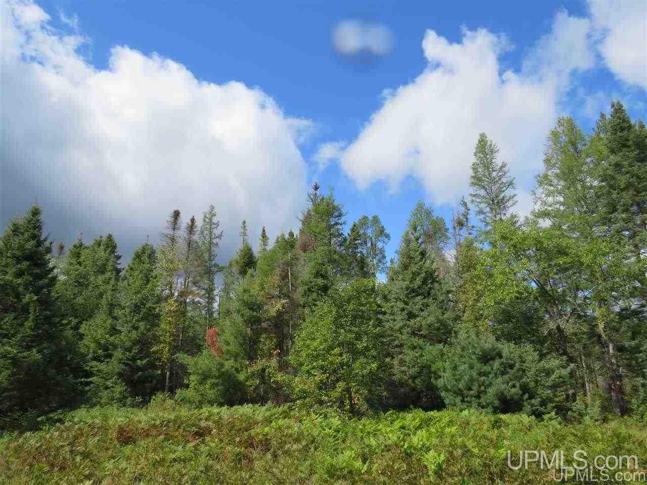 Tbd Off Lake On Three Road Trout Creek, MI 49967 - Photo 44 of 50