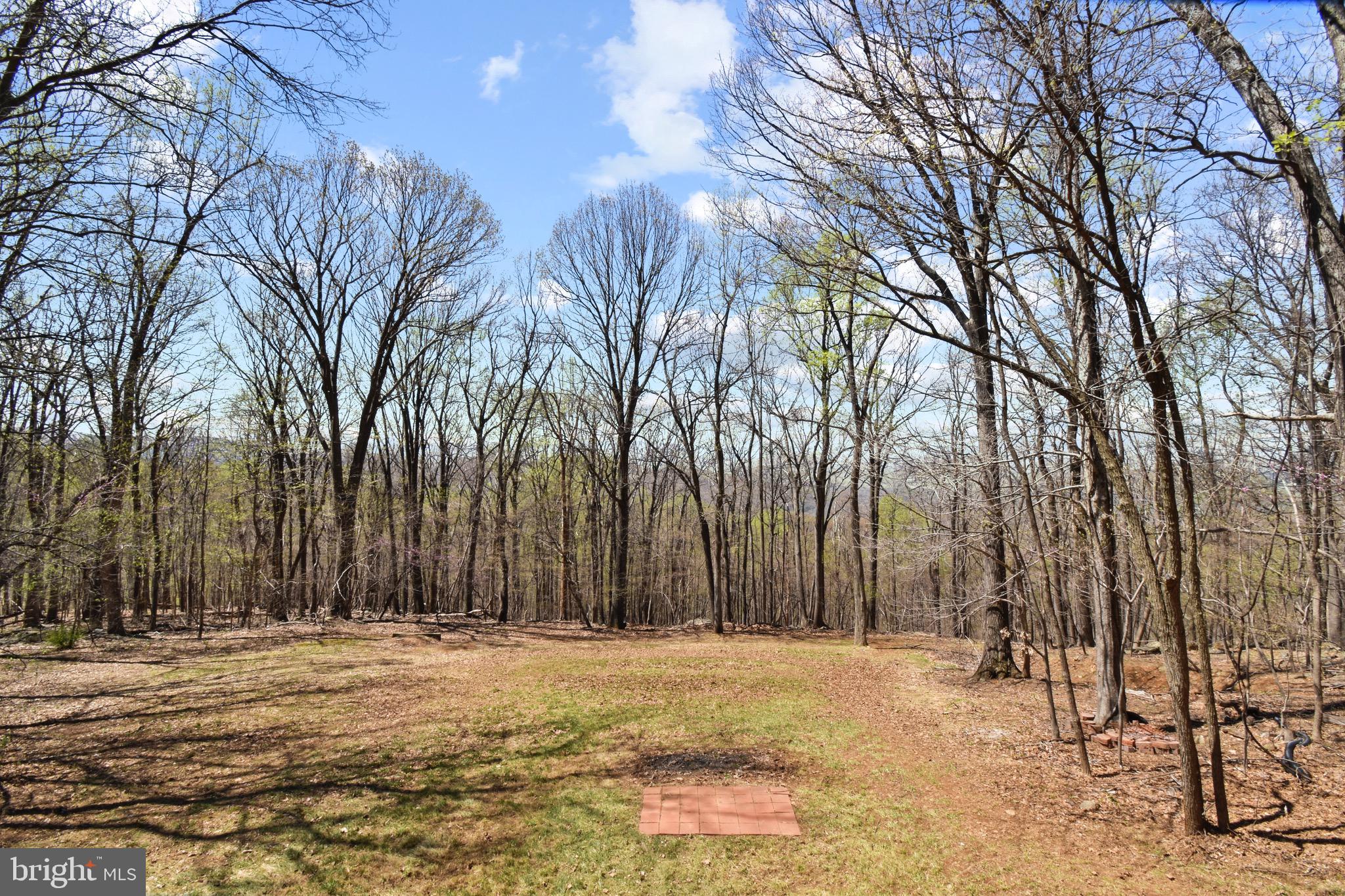 239 Doom Peak Road Linden, VA 22642 - Photo 23 of 30 Gallery Image 23