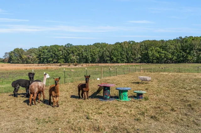 $1,065,000 | 128 Emma Street, Hohenwald, TN 38462