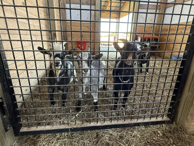 $1,065,000 | 128 Emma Street, Hohenwald, TN 38462