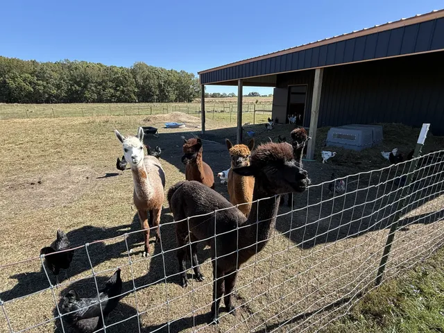 $1,065,000 | 128 Emma Street, Hohenwald, TN 38462