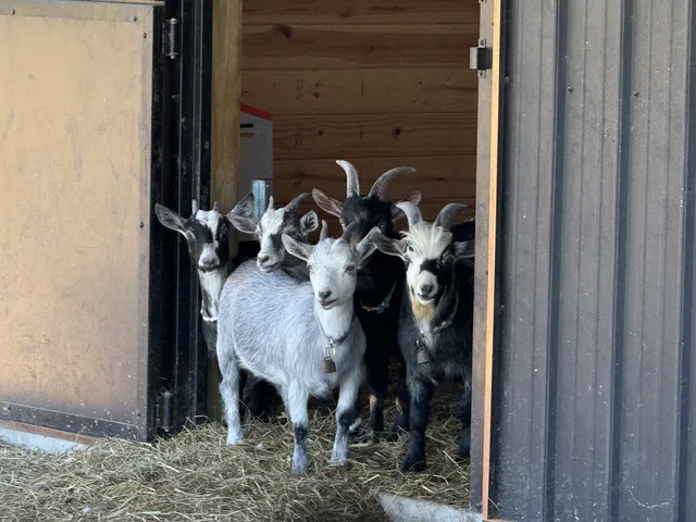 $1,065,000 | 128 Emma Street, Hohenwald, TN 38462