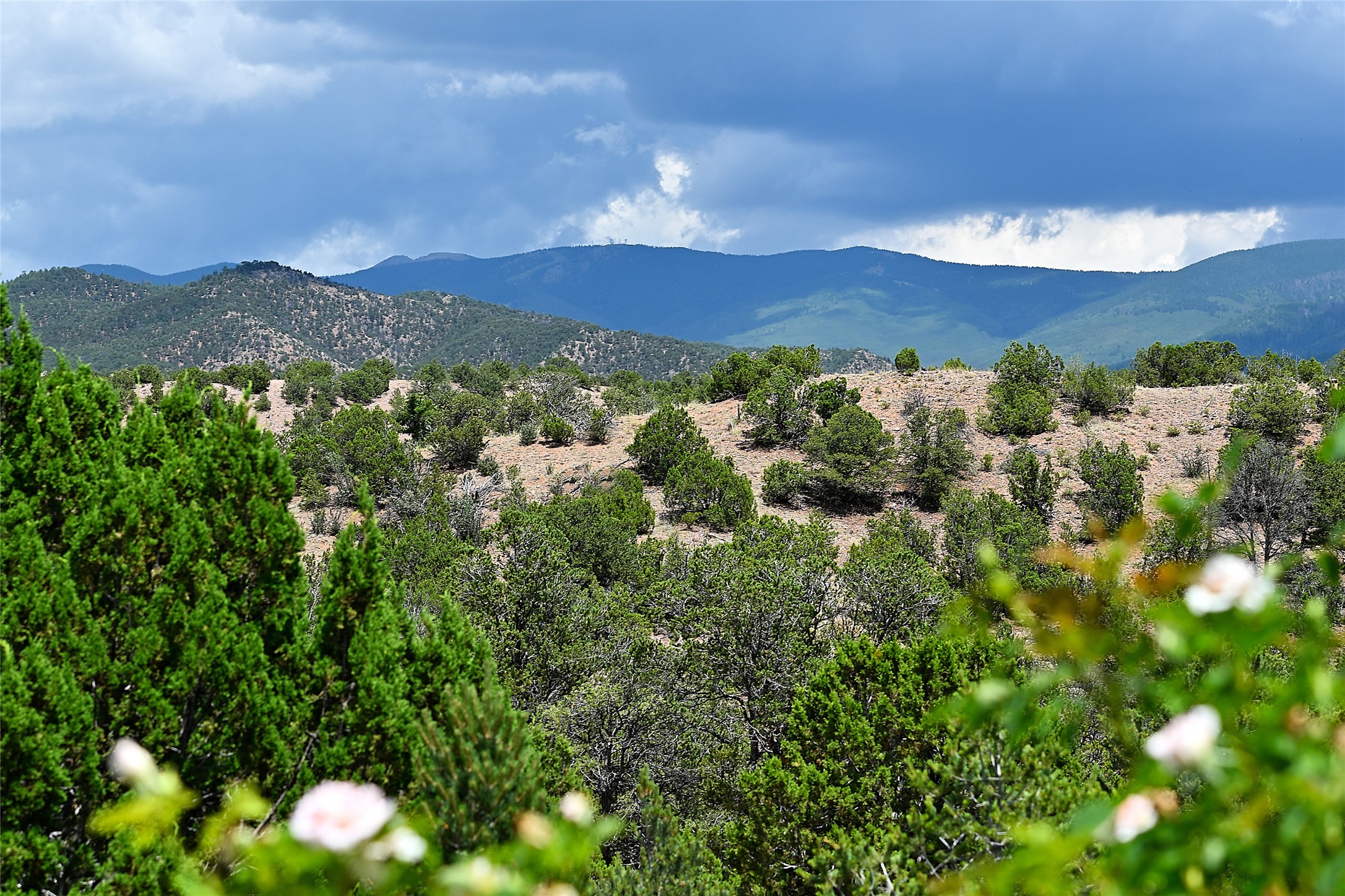 37 Rancho Escondido Santa Fe, NM 87506 - Photo 20 of 36