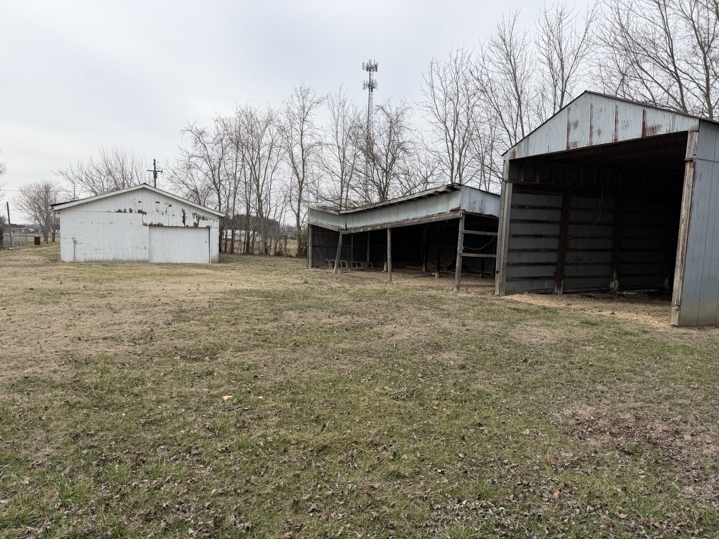 205 Kimmel Bridge Road Murphysboro, IL 62966 - Photo 26 of 33 a view of a house with a yard