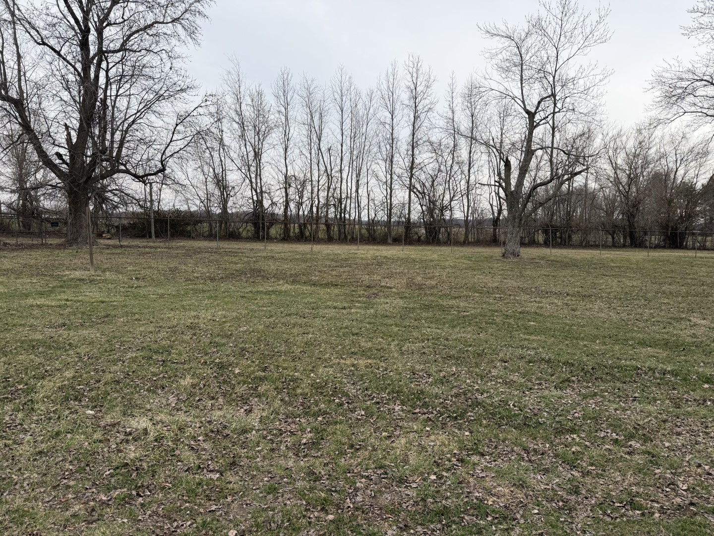 205 Kimmel Bridge Road Murphysboro, IL 62966 - Photo 29 of 33 a view of a field with trees