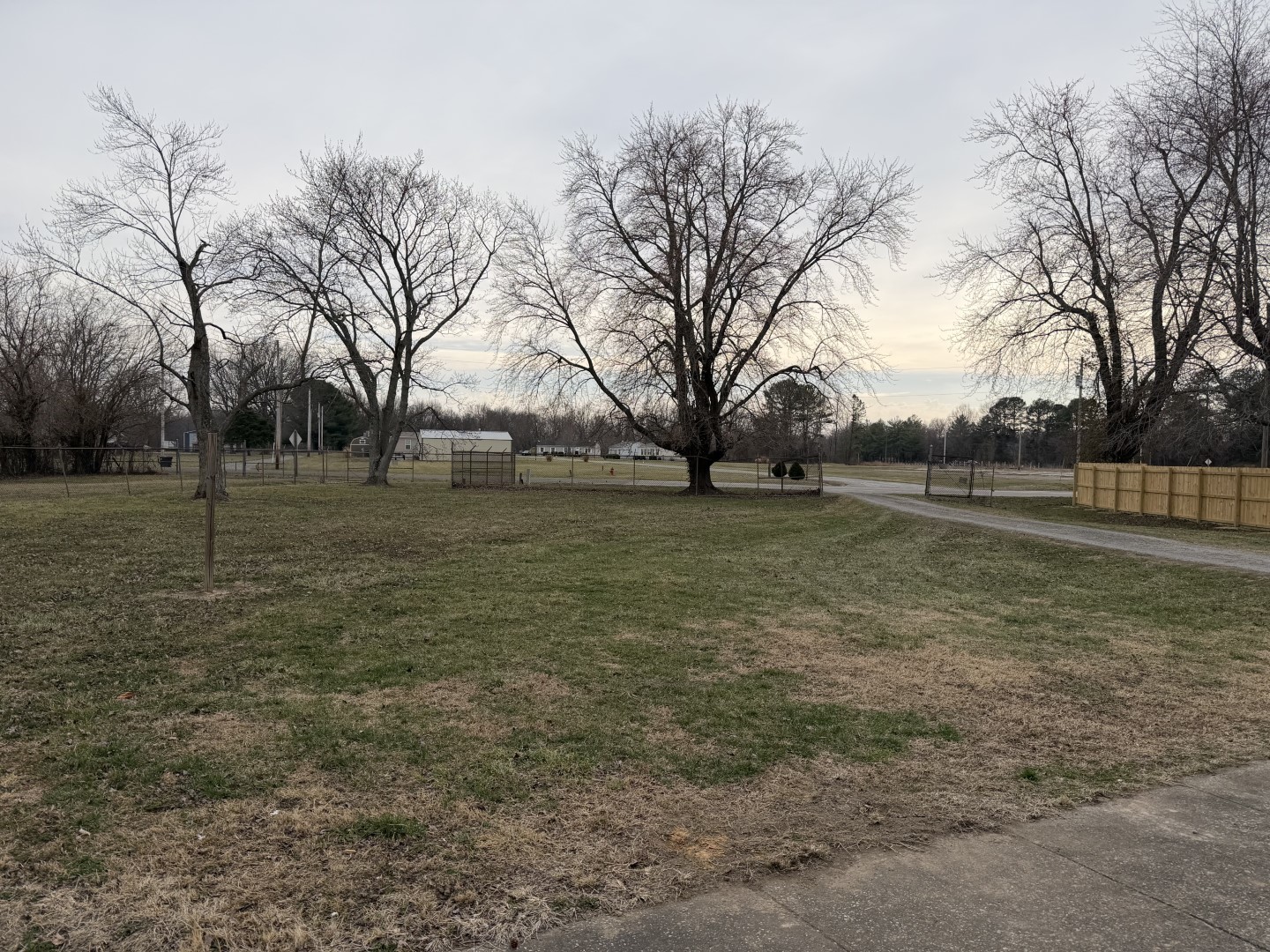 205 Kimmel Bridge Road Murphysboro, IL 62966 - Photo 30 of 33 a view of a field with trees