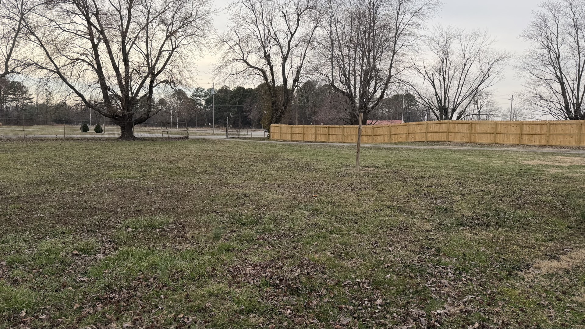 205 Kimmel Bridge Road Murphysboro, IL 62966 - Photo 32 of 33 a view of yard with trees