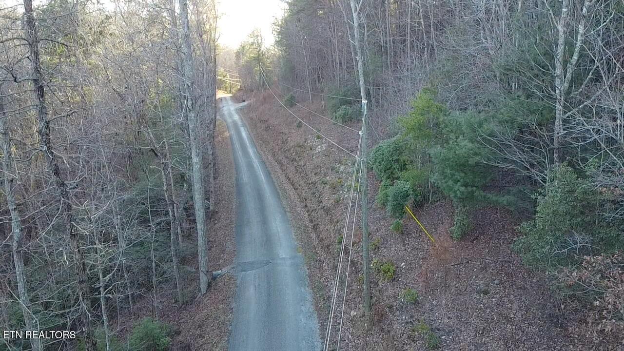 Cooper Hollow Road Tellico Plains, TN 37385 - Photo 11 of 16 2026-01-12-16-31-59-049