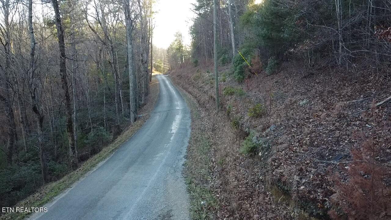 Cooper Hollow Road Tellico Plains, TN 37385 - Photo 12 of 16 2026-01-12-16-32-08-446