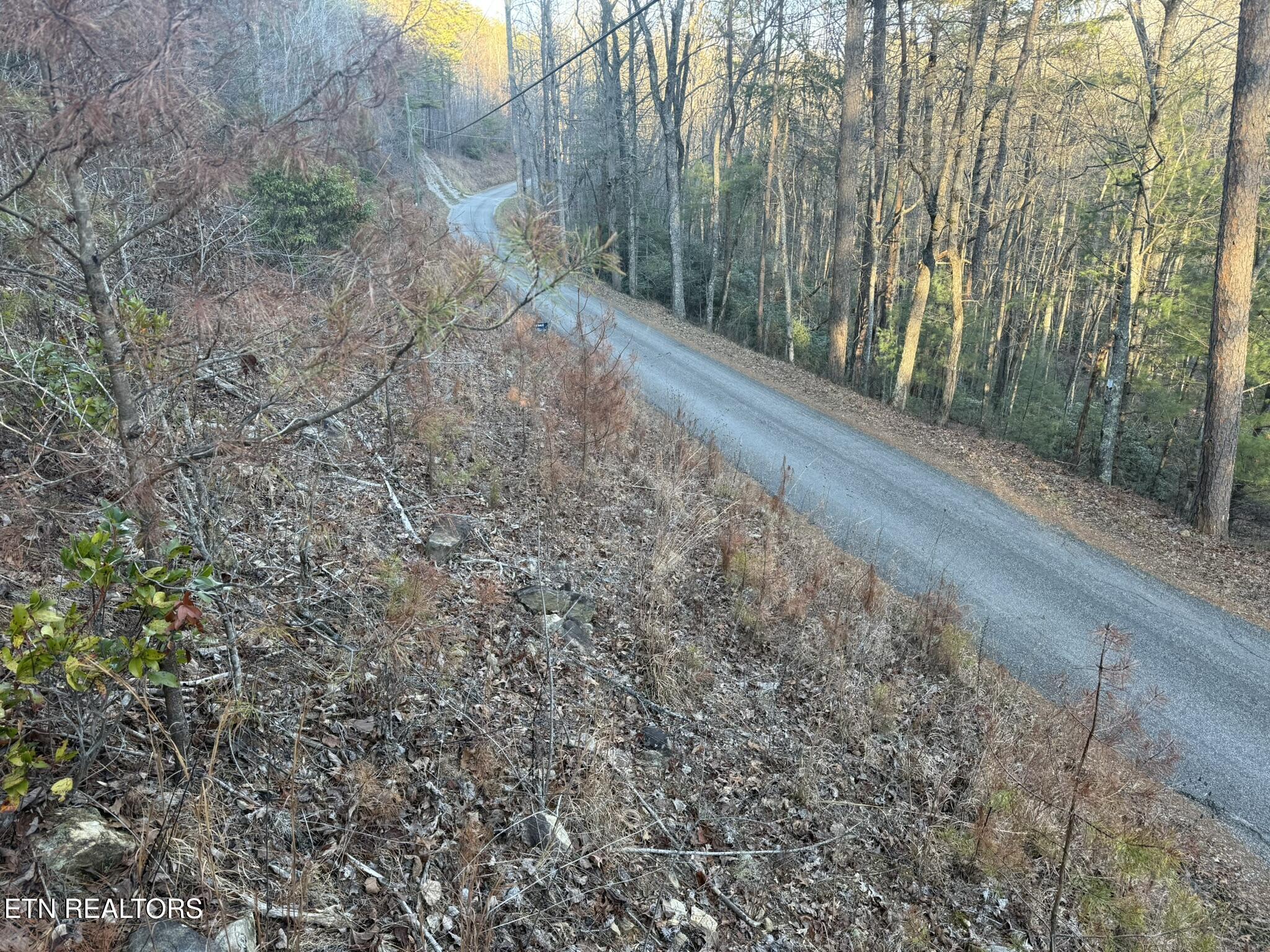 Cooper Hollow Road Tellico Plains, TN 37385 - Photo 14 of 16 IMG_1835