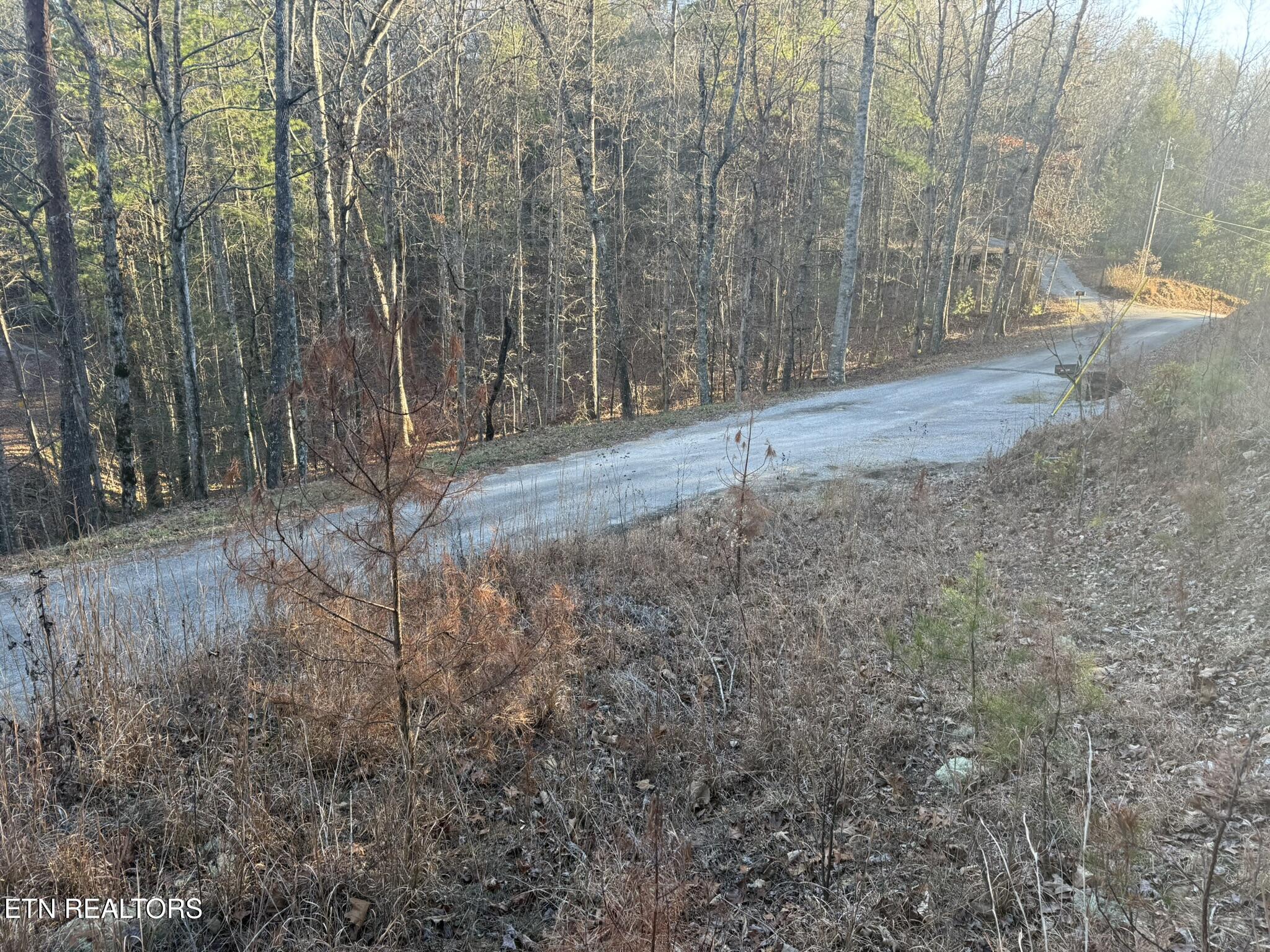 Cooper Hollow Road Tellico Plains, TN 37385 - Photo 15 of 16 IMG_1837
