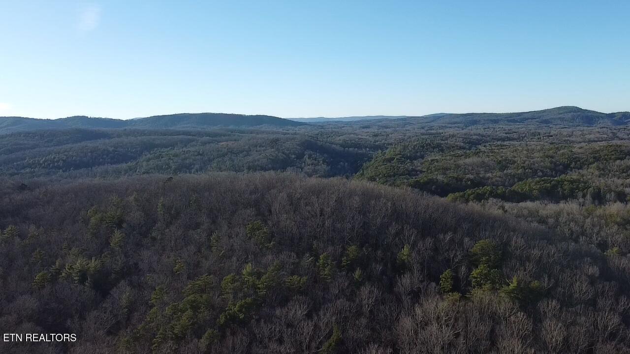 Cooper Hollow Road Tellico Plains, TN 37385 - Photo 8 of 16 2026-01-12-16-28-25-098