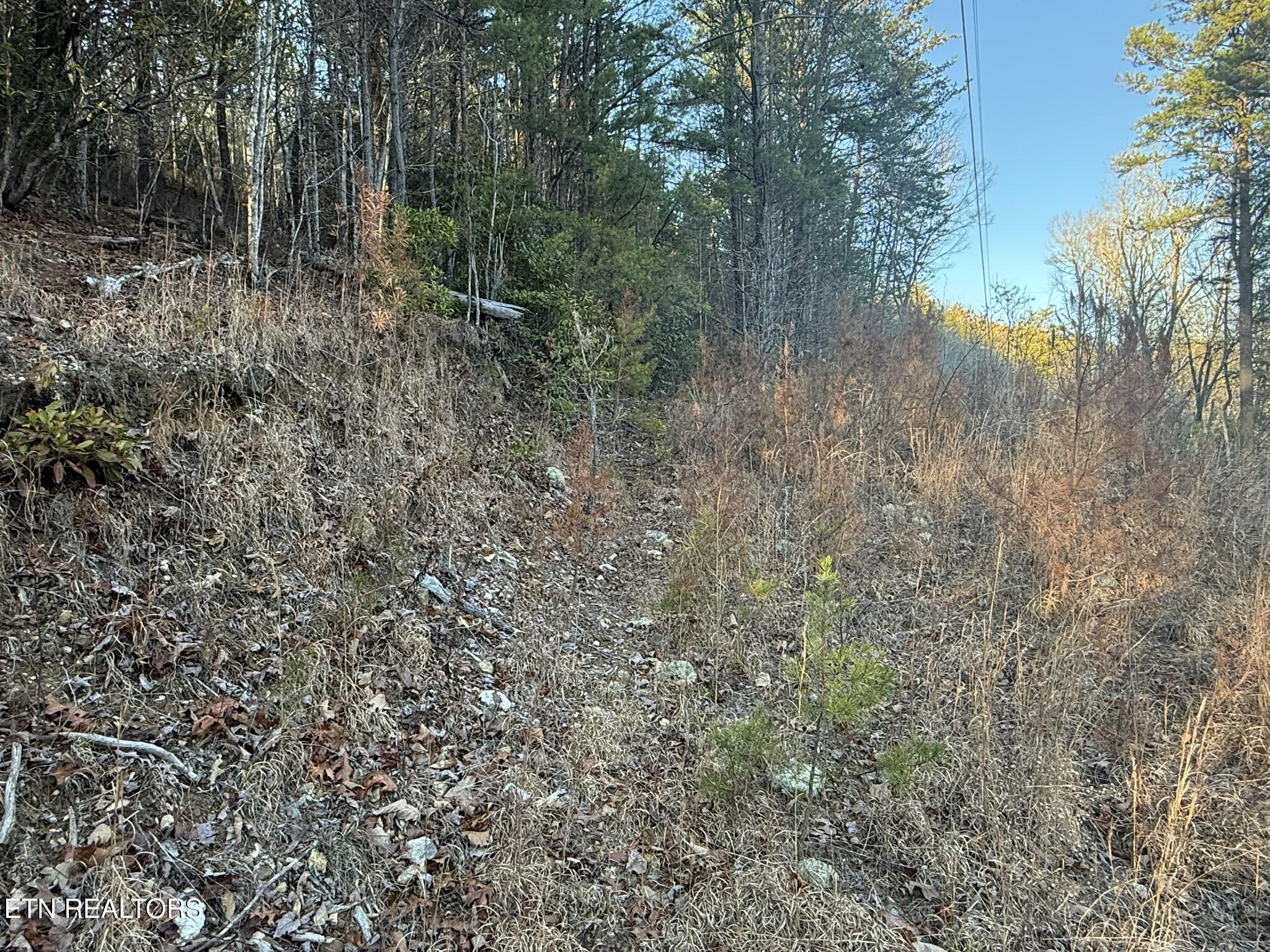 Cooper Hollow Road Tellico Plains, TN 37385 - Photo 10 of 16 IMG_1832