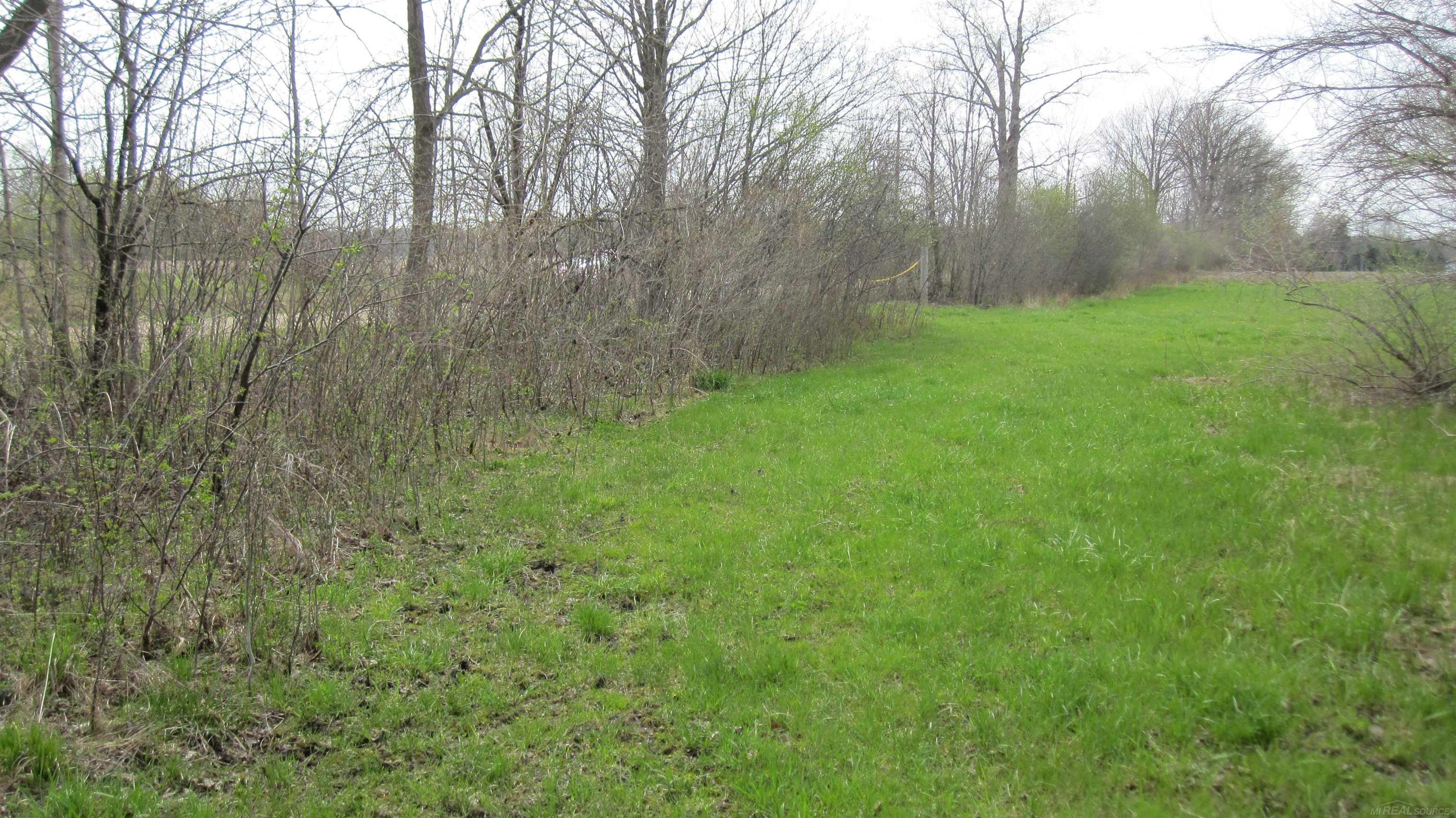 1-vl Jeddo Road Avoca, MI 48006 - Photo 11 of 18