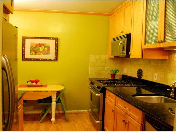 6801 Shore Road, Unit 3B Brooklyn, NY 11220 - Photo 1 of 12 Gallery Image 1