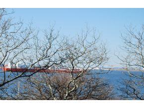 6801 Shore Road, Unit 3B Brooklyn, NY 11220 - Photo 4 of 12 Gallery Image 4