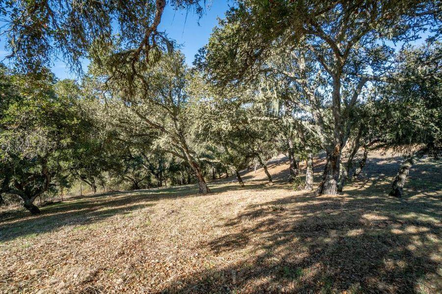 17114 Cachagua Road Carmel Valley, CA 93924 - Photo 14 of 32