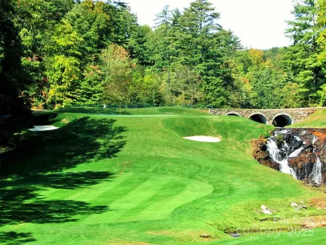 a view of a park with large trees