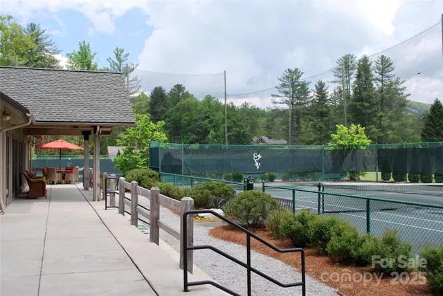 a view of a garden with plants and a bench