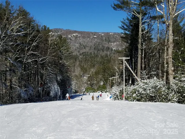 a view of a wooden house with a snow in the background