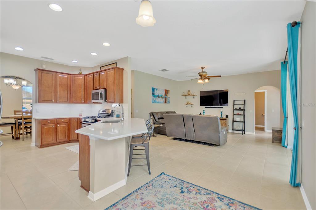 1224 Halapa Way Trinity, FL 34655 - Photo 12 of 52