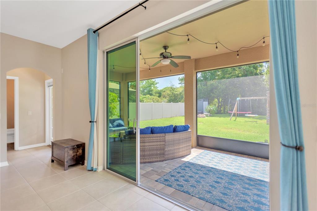 1224 Halapa Way Trinity, FL 34655 - Photo 39 of 52