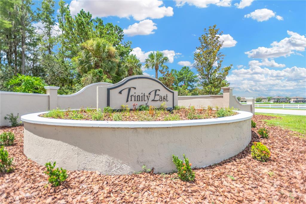 1224 Halapa Way Trinity, FL 34655 - Photo 51 of 52