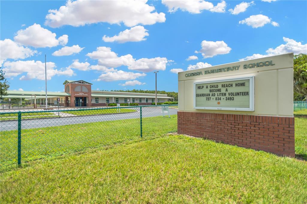 1224 Halapa Way Trinity, FL 34655 - Photo 52 of 52