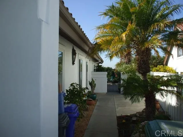 a potted plant sitting in front of a house