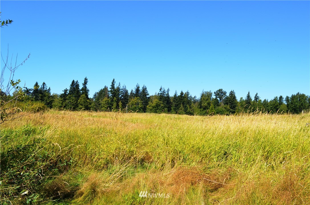 7855 Ham Road Custer, WA 98240 - Photo 38 of 39 a view of an ocean