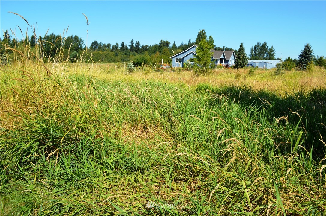 7855 Ham Road Custer, WA 98240 - Photo 39 of 39 a view of a houses with a lake view