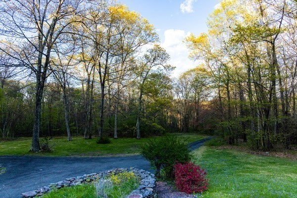 50 Old Poor Farm Road Ware, MA 01082 - Photo 29 of 33 a view of a garden with plants and trees
