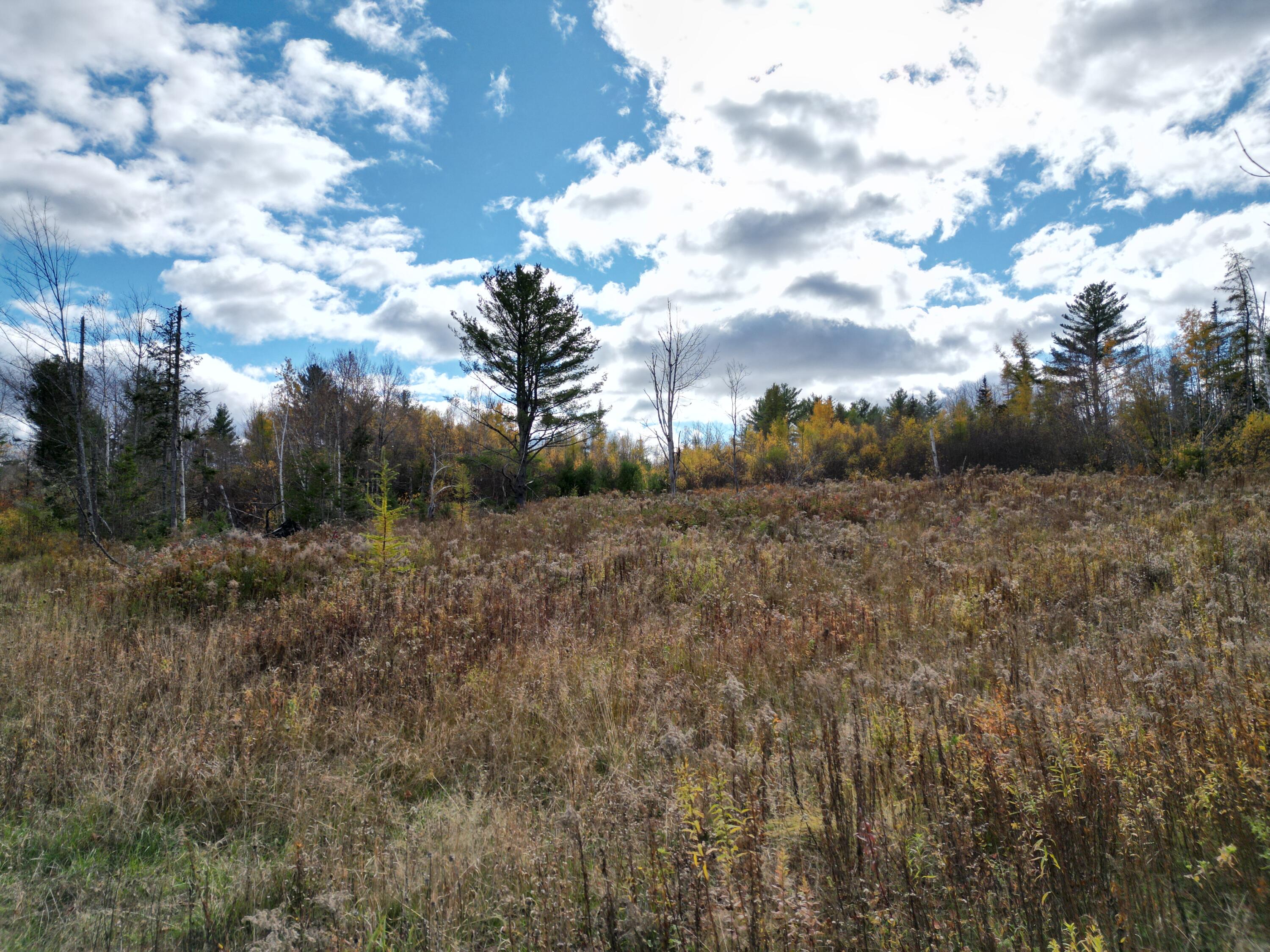 Lot 7 Off Main Road Topsfield, ME 04490 - Photo 1 of 28 DJI_0120
