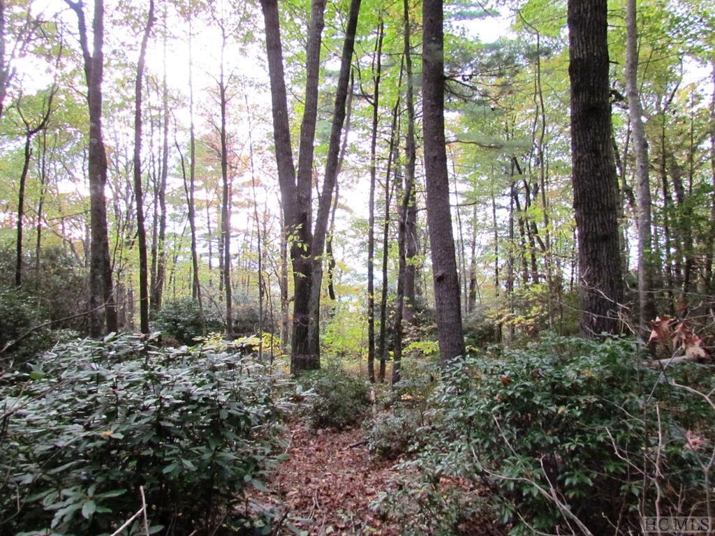 Lot 8 Whitewater Rdg Road Maggie Valley, NC 28751 - Photo 11 of 12 Gallery Image 11
