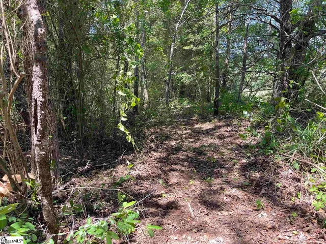 $1,800 | 619 Heathrow Court, Moore, SC 29369