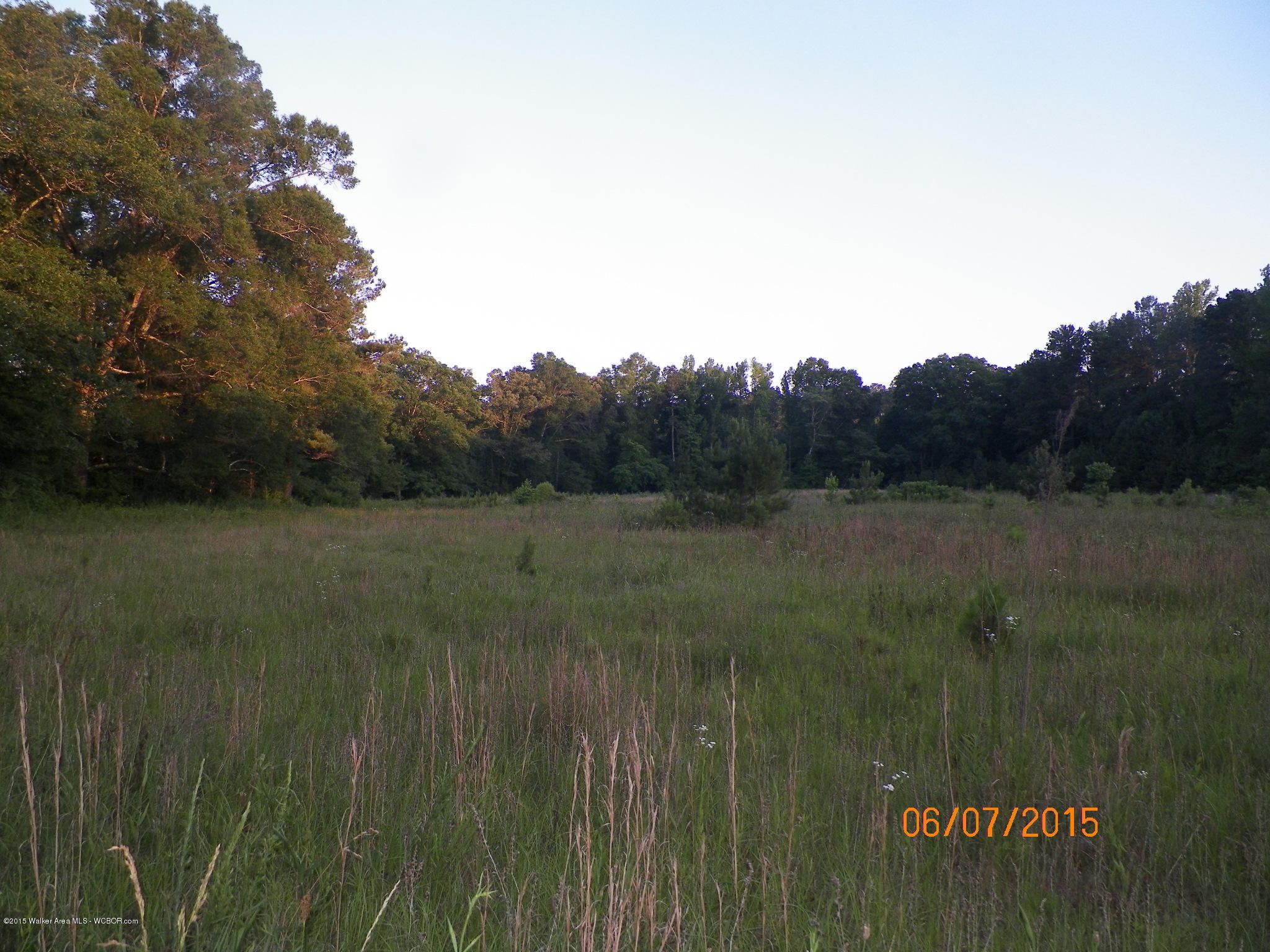 0 Williams Road Jasper, AL 35503 - Photo 3 of 4 Gallery Image 3