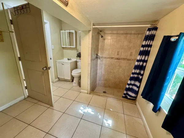 a bathroom with a shower and a toilet