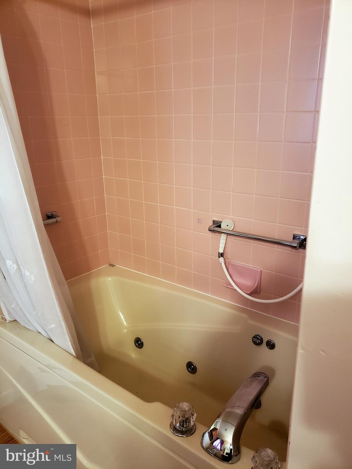 14212 Brant Road Southwest Cresaptown, MD 21502 - Photo 20 of 29 Jacuzzi tub in Master bath.