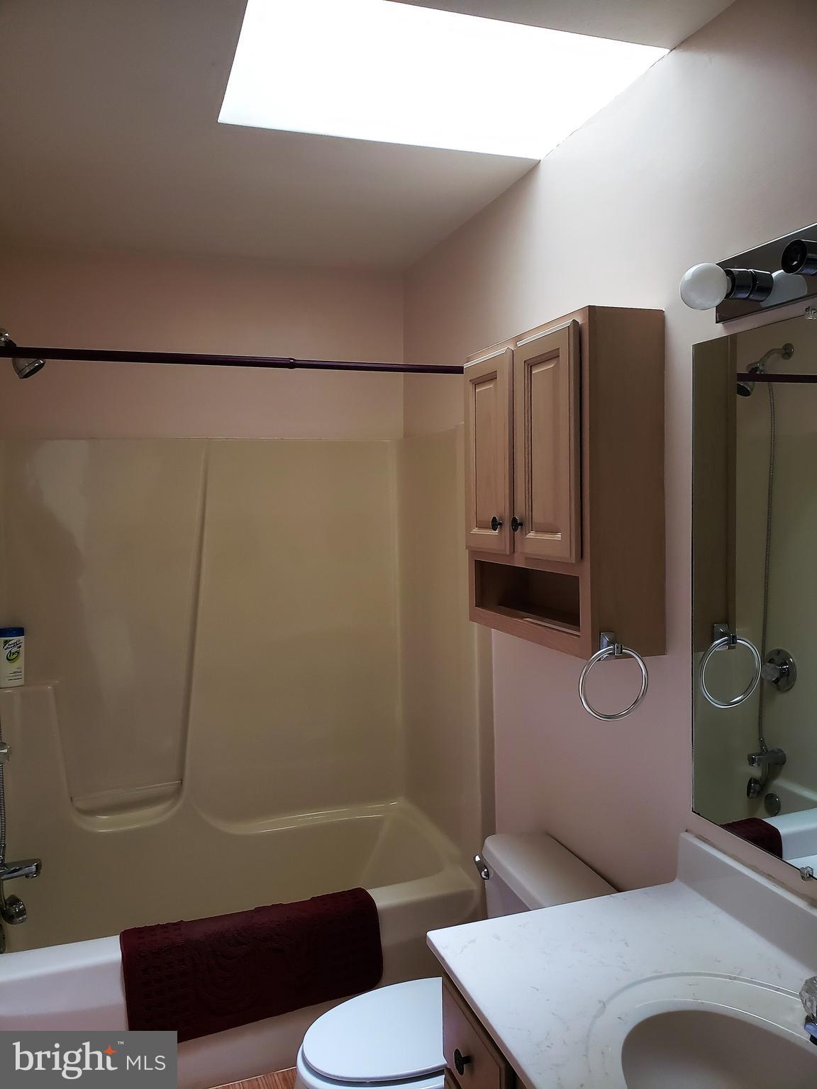 14212 Brant Road Southwest Cresaptown, MD 21502 - Photo 22 of 29 Guest bath with sky light.