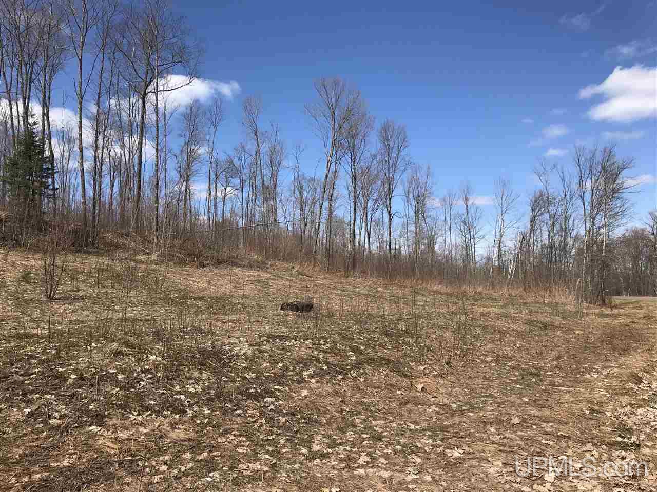 Tbd County 519 Ramsay, MI 49959 - Photo 2 of 8