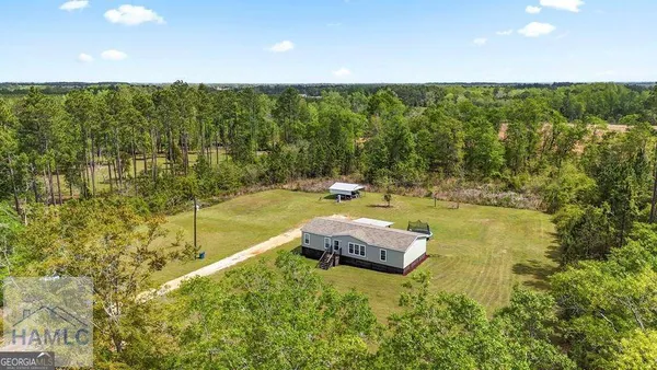 a view of a yard with plants