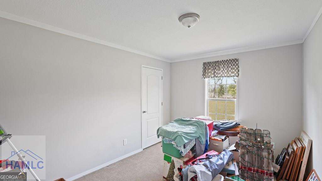876 Hires Road Jesup, GA 31545 - Photo 22 of 30 a living room with furniture and a window