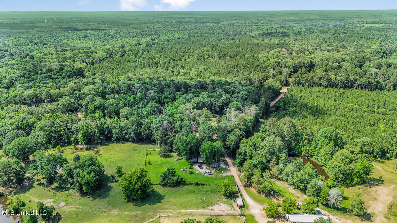 1885 Silver Creek Road Crosby, MS 39633 - Photo 15 of 17 DJI_20250523103847_0279_D
